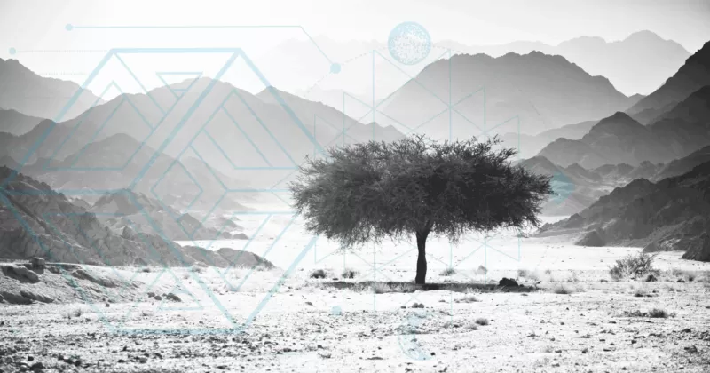 Lone tree standing strong in desert landscape, symbolizing solitude vs loneliness and finding inner peace through solitude